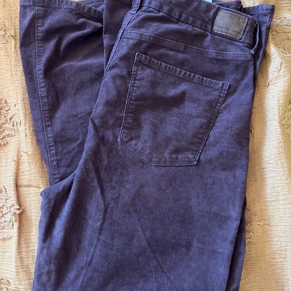 Women's Purple/Brown Corduroy Pants